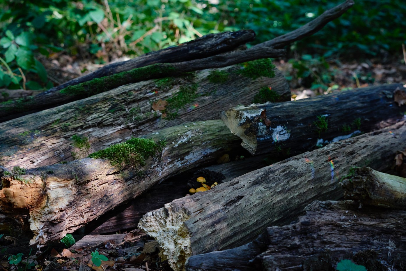 Zonnestraalvanger - regenboogjes